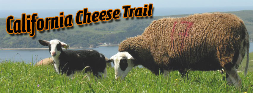 cheese trail