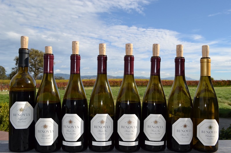 A Collection of Benovia Winery's Stunning Wines, photo by St8Forward Media