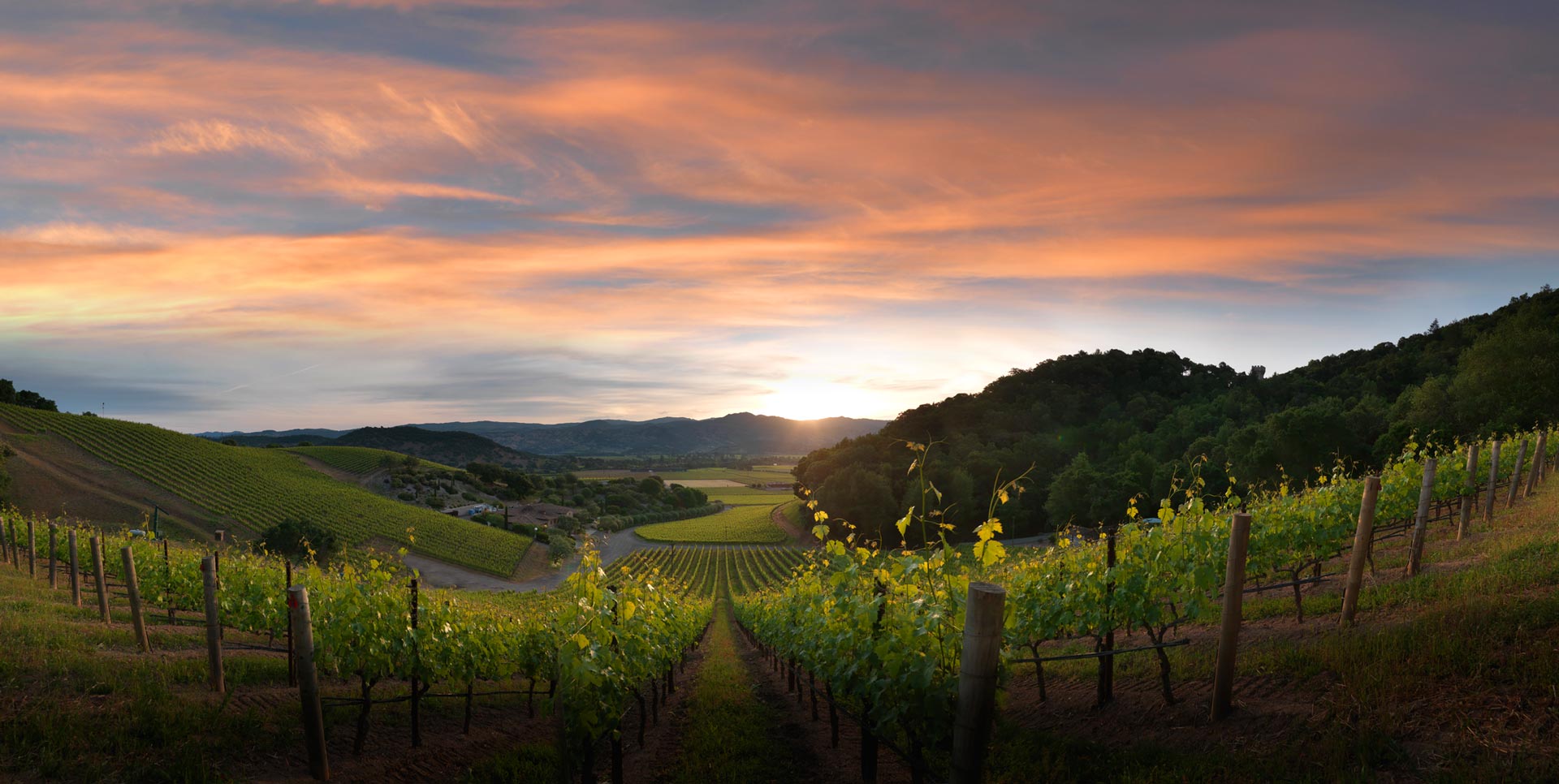 4 Wineries You Have To Visit in #NapaValley