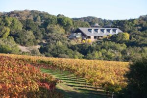 Chalk Hill Estate Vineyard and Winery. © Brent Winebrenner