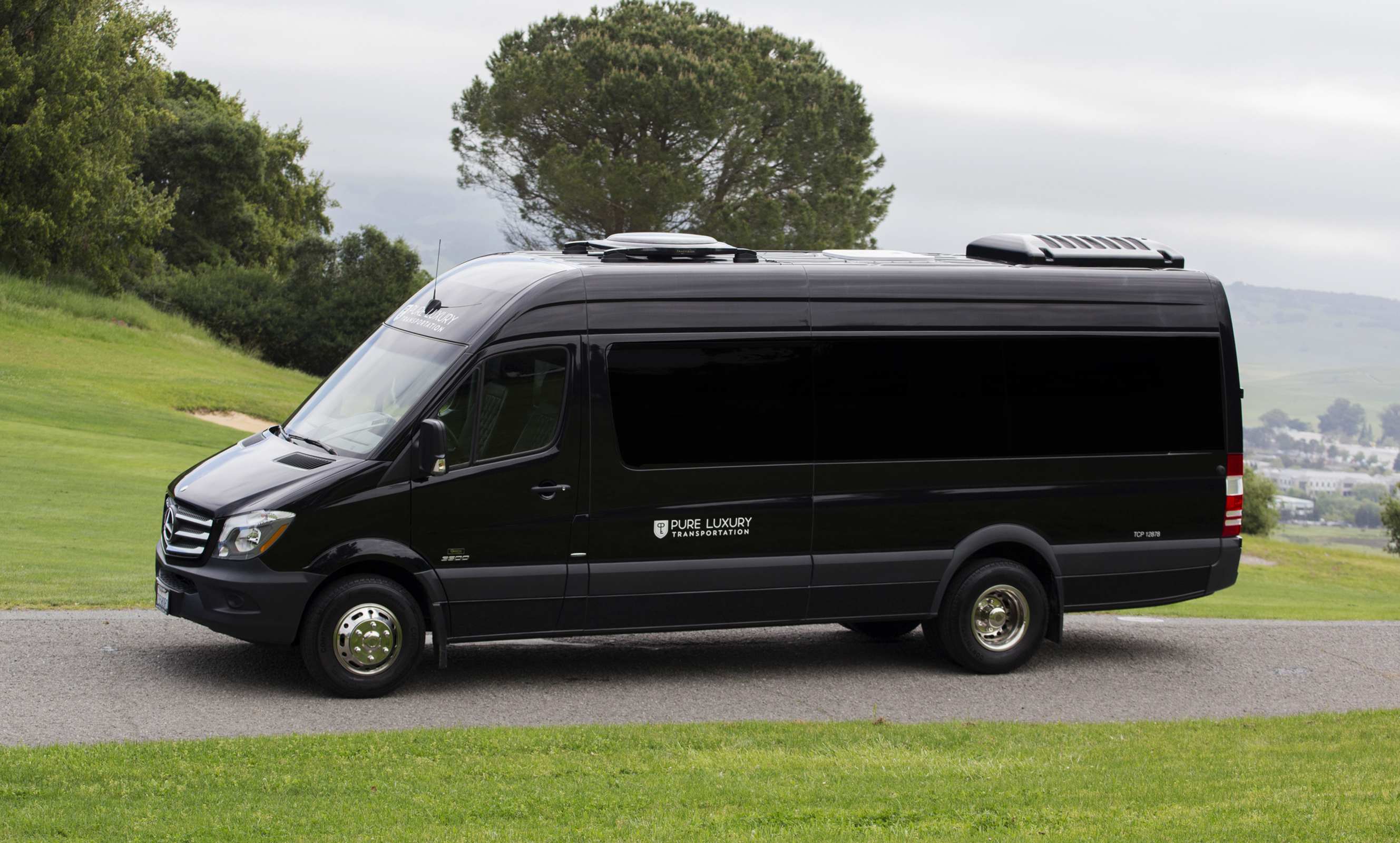 8 Passenger Sprinter Limousine - Pure Luxury Transportation
