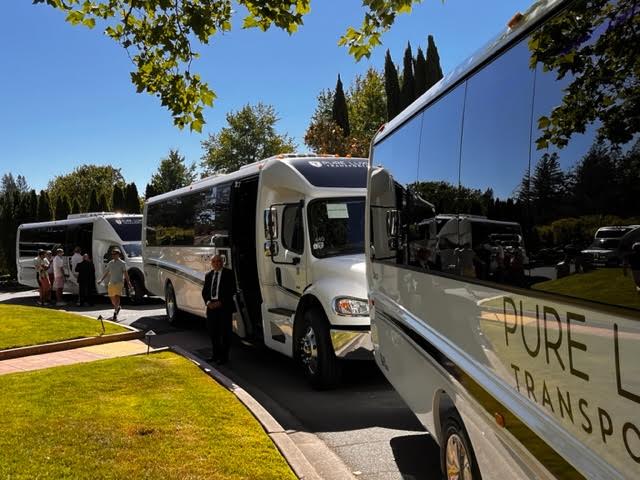 wine tour vans lined up on curb